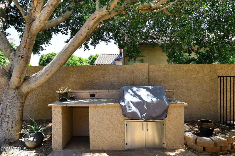 BBQ Grill