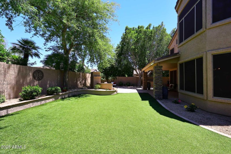 Backyard2