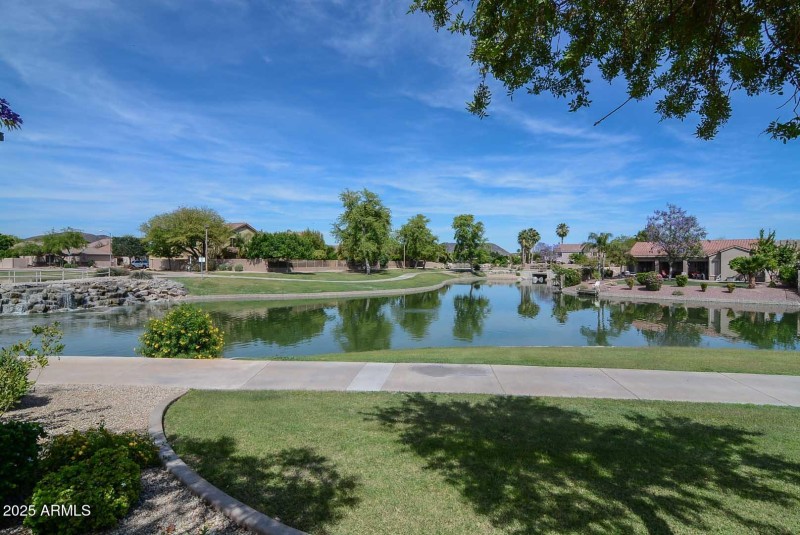Community Lake Views