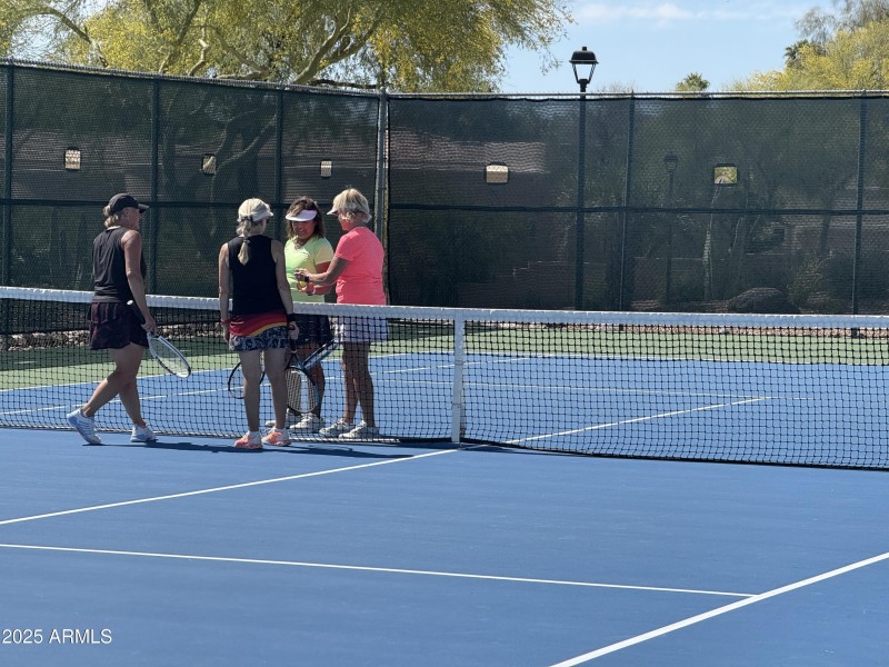 IMG_022Pickleball