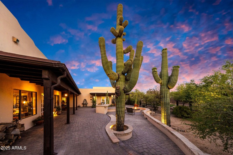 Saguaros