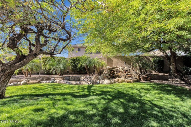 Backyard