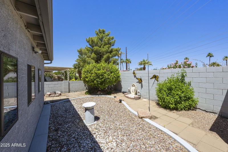 Back yard