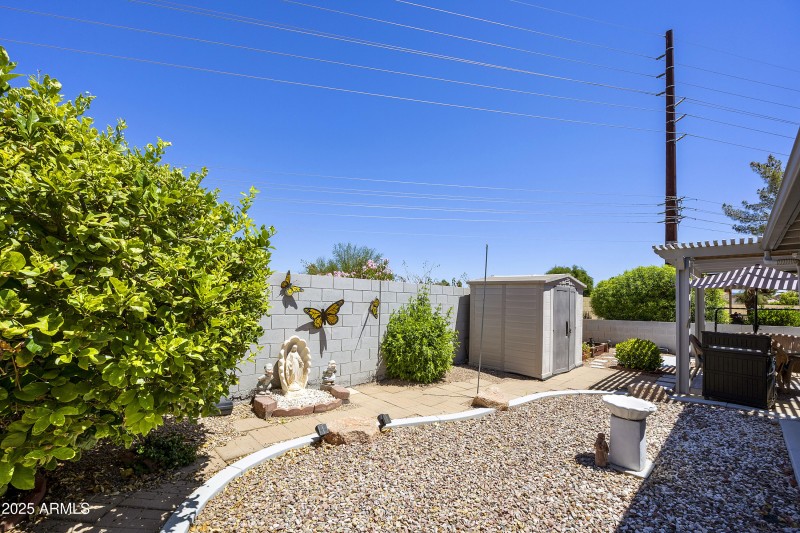 Back yard