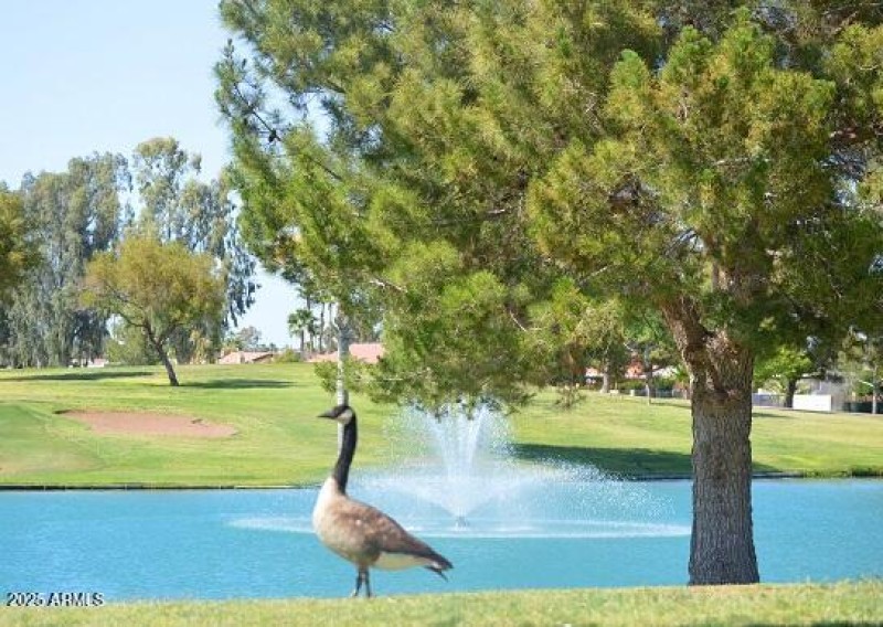 103 Golf Course and Lakes