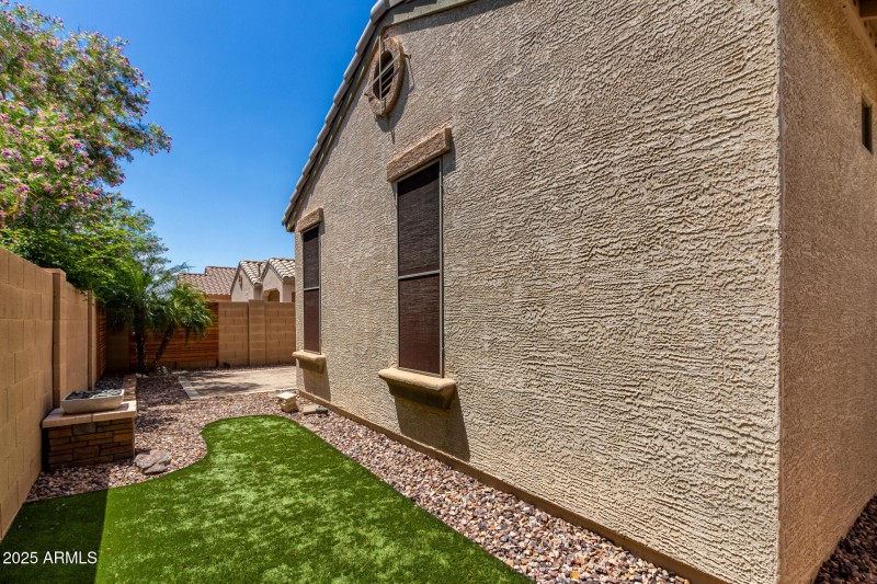 Turf in Backyard