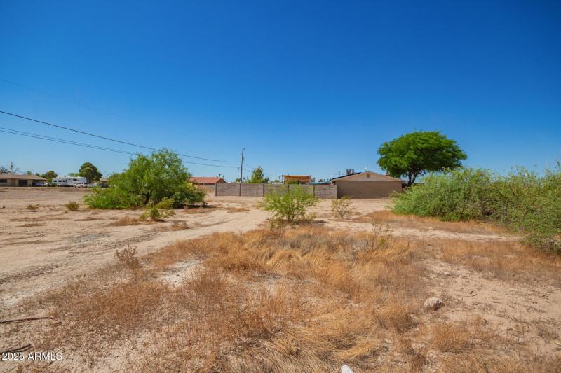 08 - Del Monte 4125