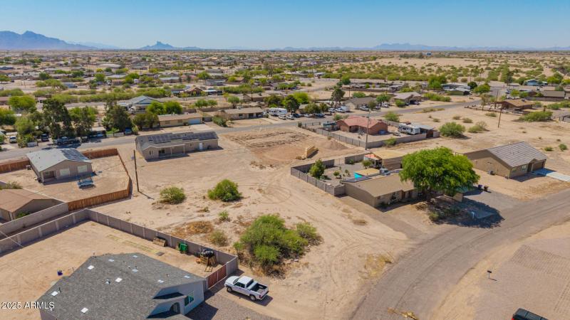 16 - Del Monte 4125