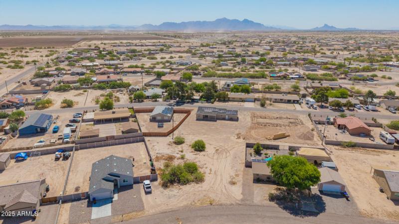 22 - Del Monte 4125