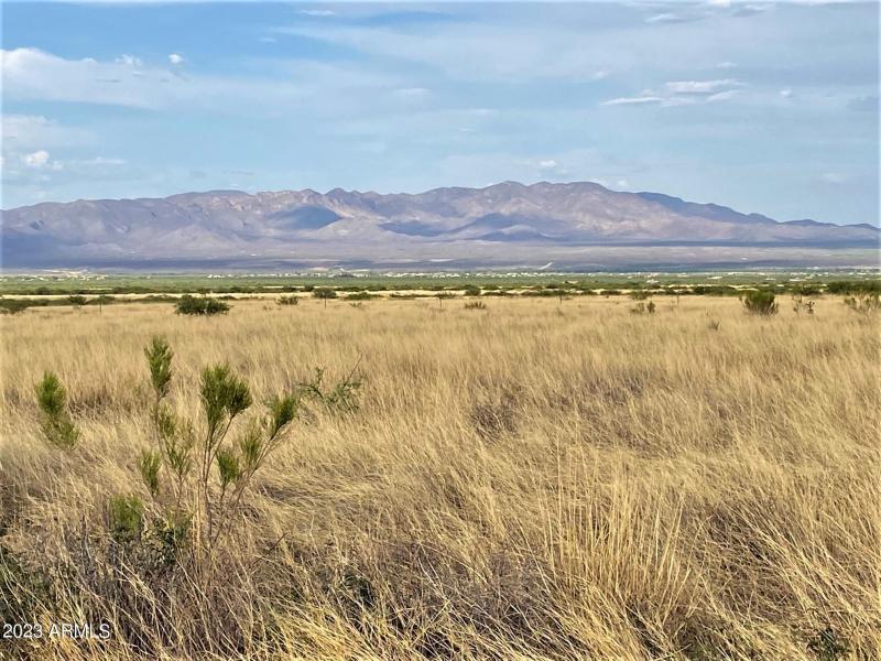 Amazing Views of the Mule Mnts