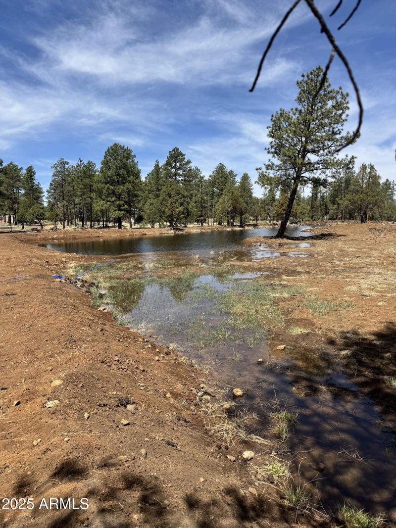 Pond