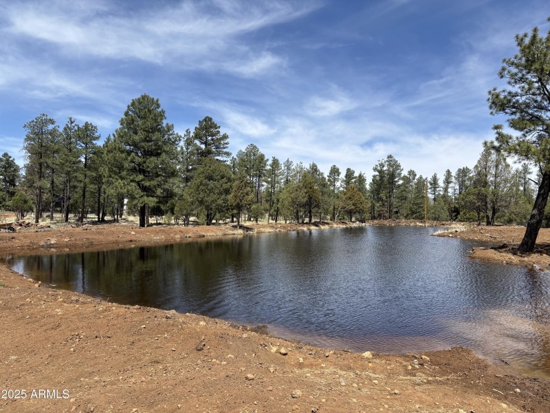Pond