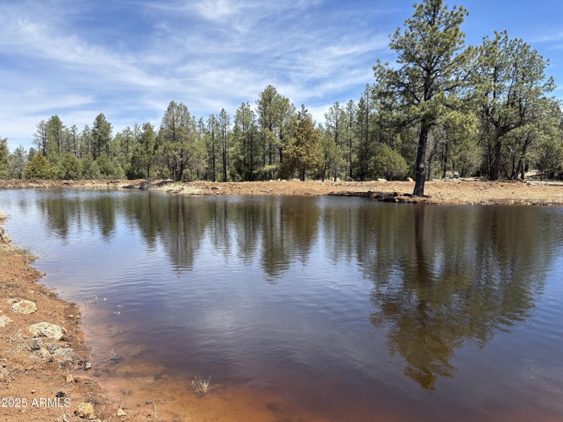Pond