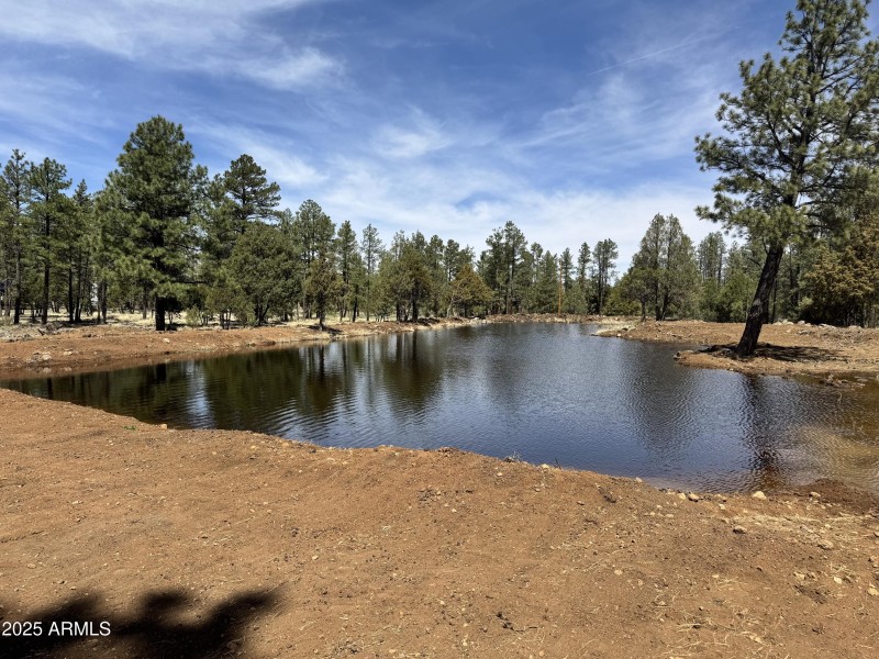 Pond