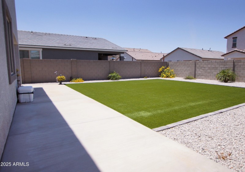 Back yard