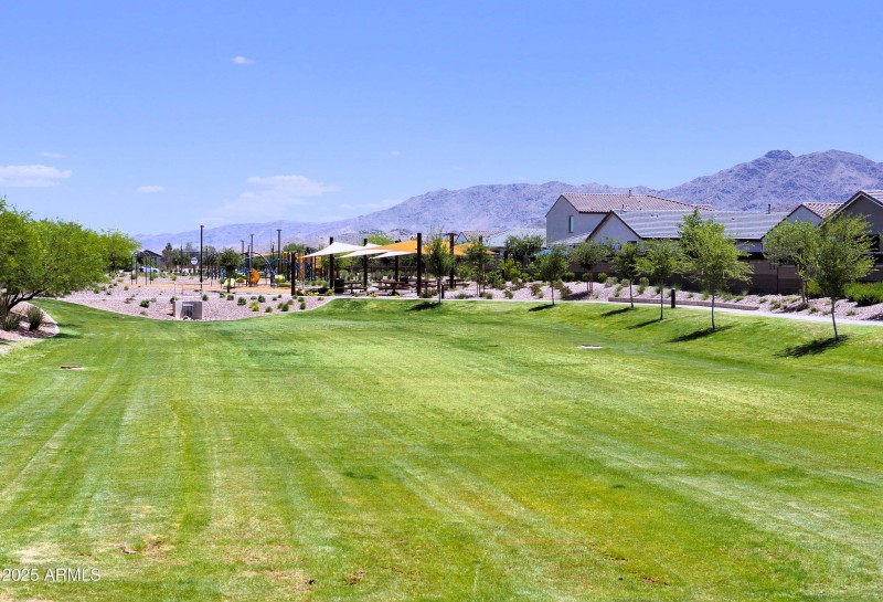 Grass area