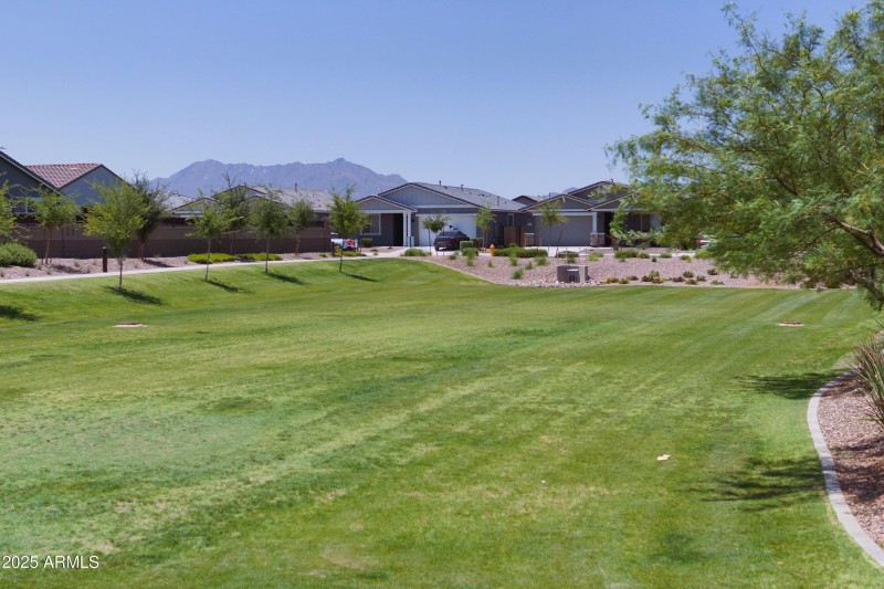 Grass area