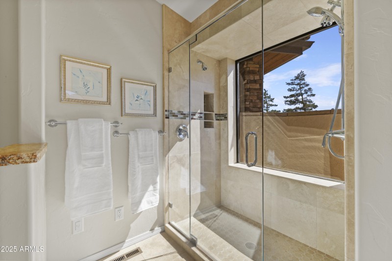 PRIMARY SHOWER
