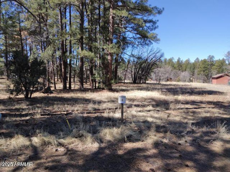 Lot 4