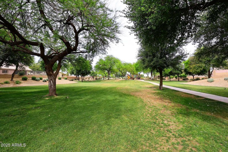 Community Park