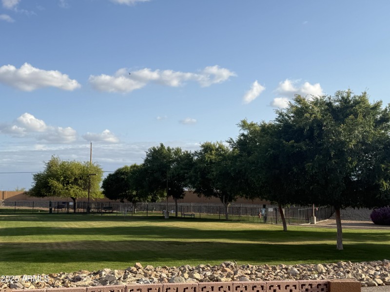dog park