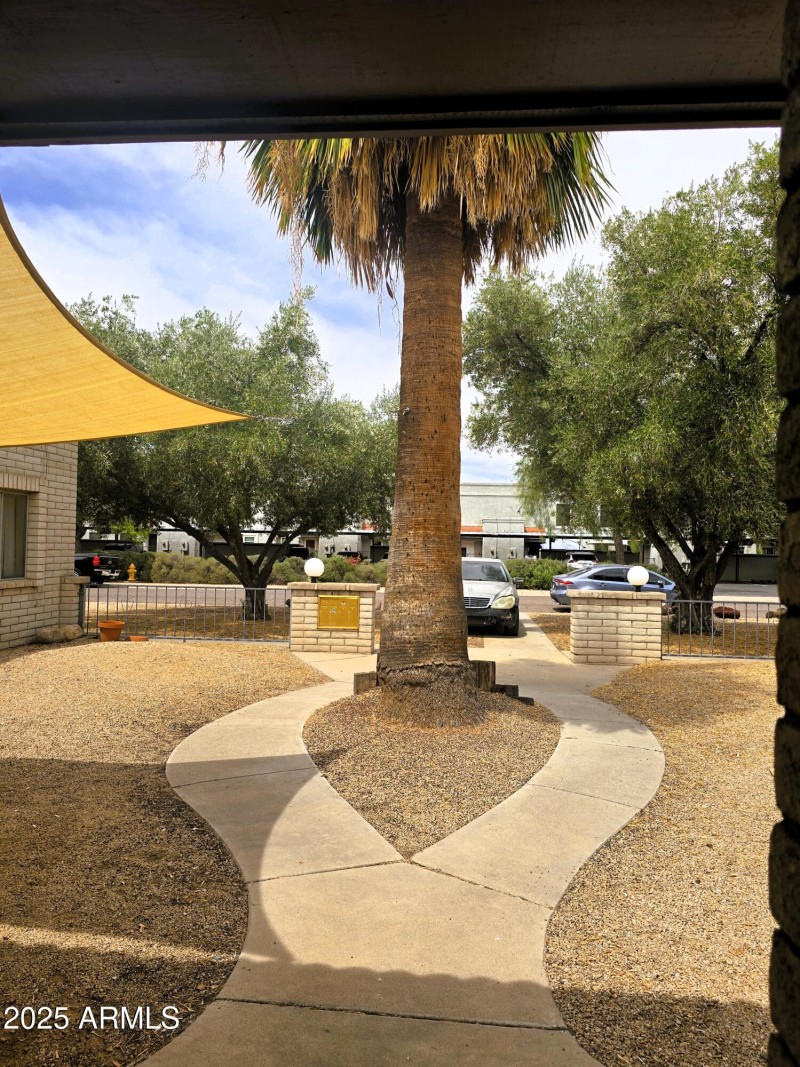 Landscaping views