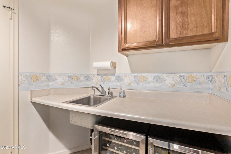 Laundry sink