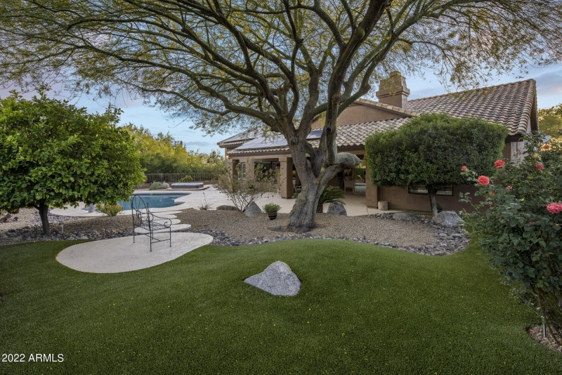 Backyard