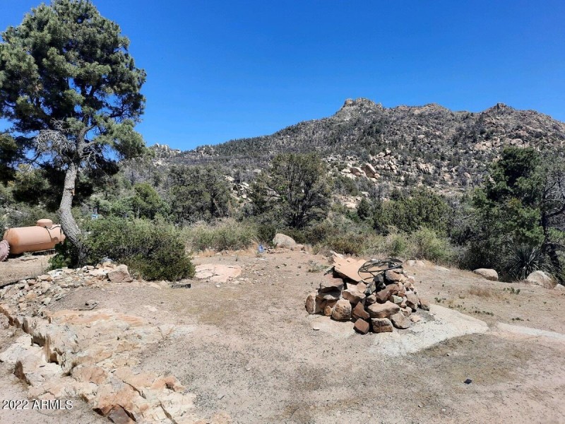 Back Yard View
