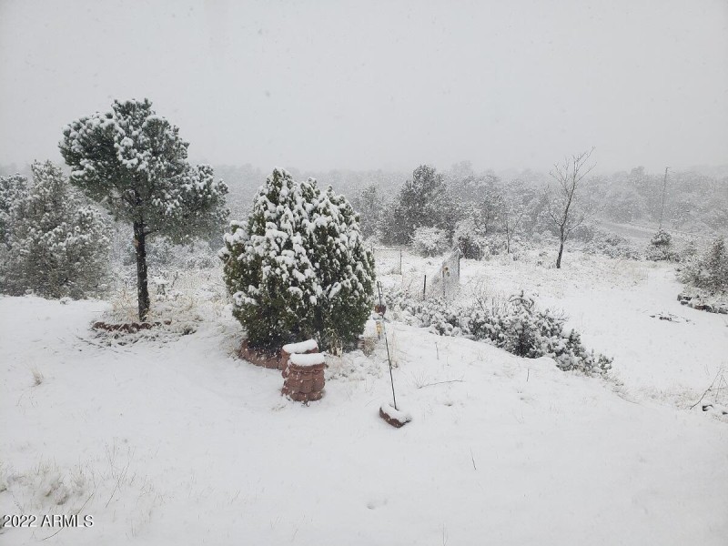 Snow on Ground
