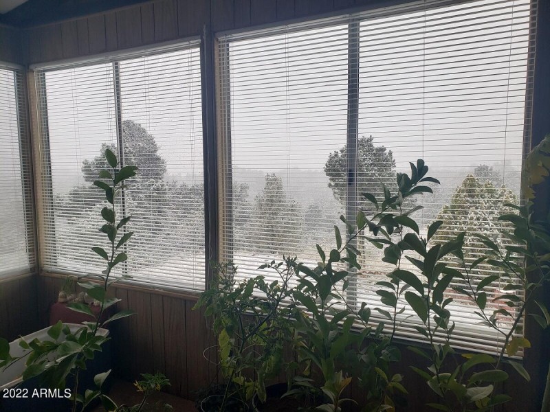Snow