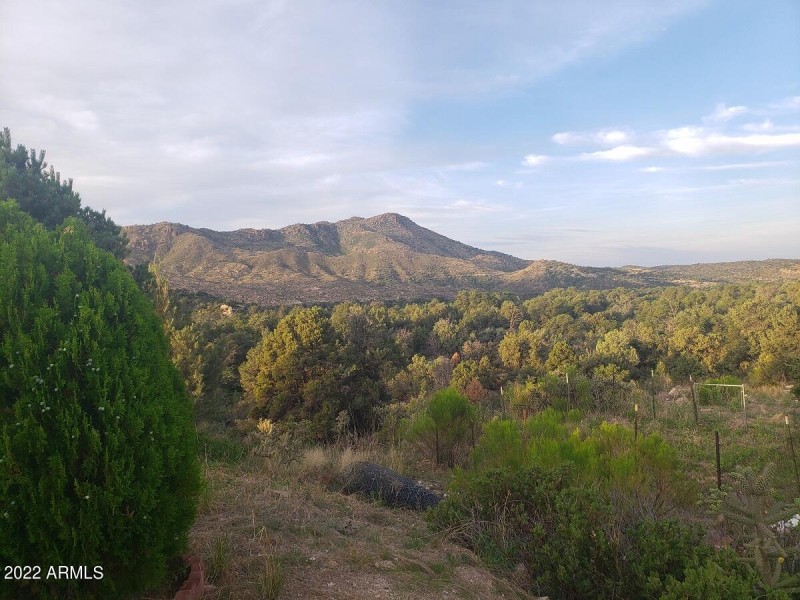 Views of Mountains