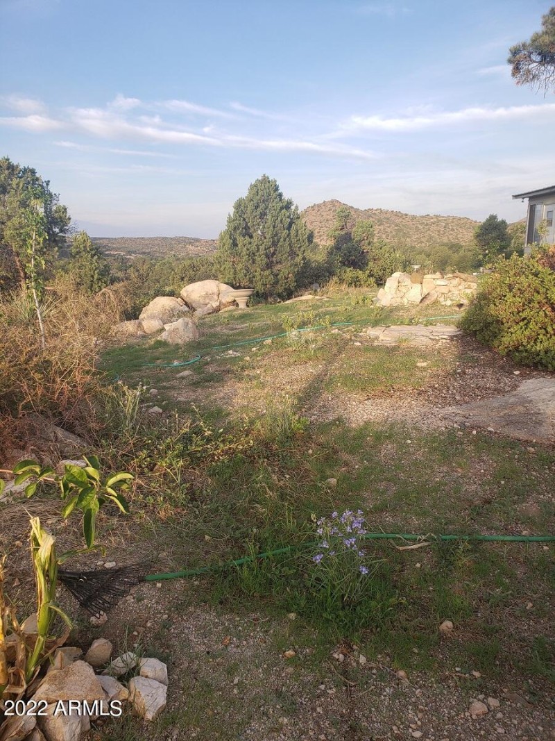 Back Yard Open Area