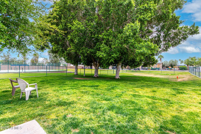 Dog Park (2)