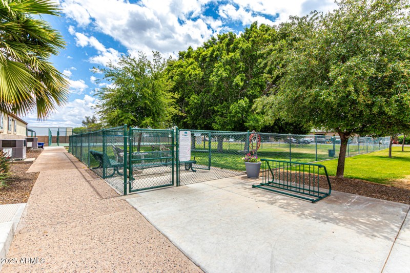Dog Park