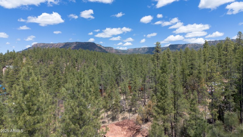DJI_0607-HDR