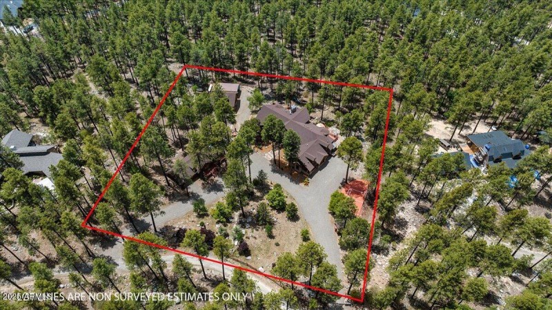 09-006_Aerial