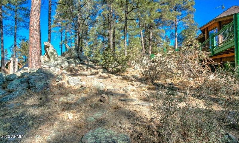 50-Yard