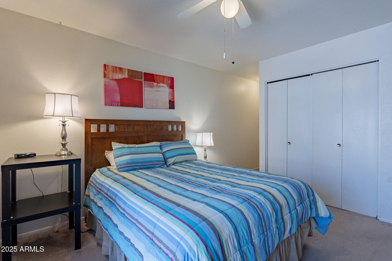 32-web-or-mls-Cochise-32