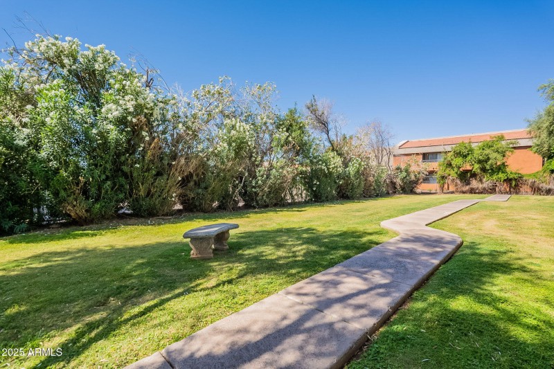 41-web-or-mls-Cochise-41