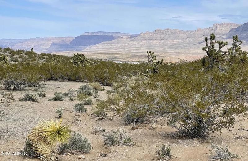 540 W Silver Creek LN