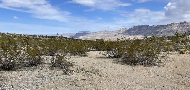 540 W Silver Creek LN