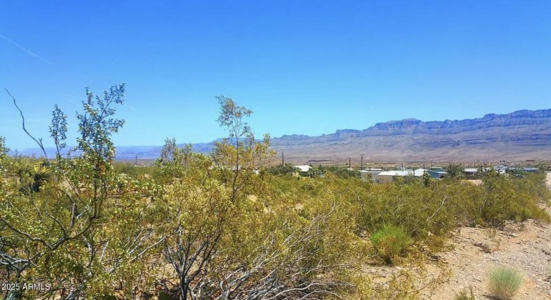 540 W Silver Creek LN