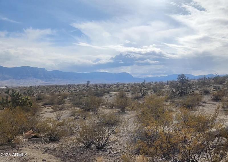 540 W Silver Creek LN