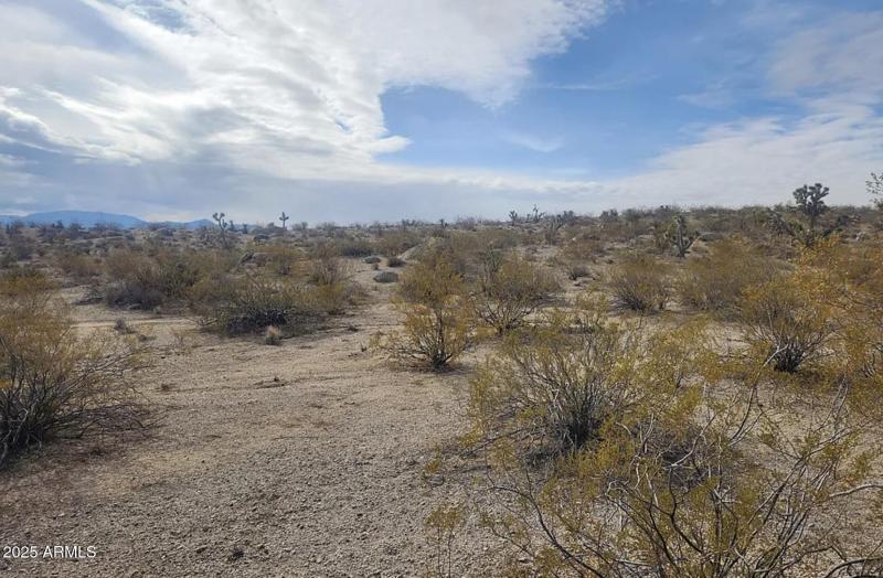 540 W Silver Creek LN