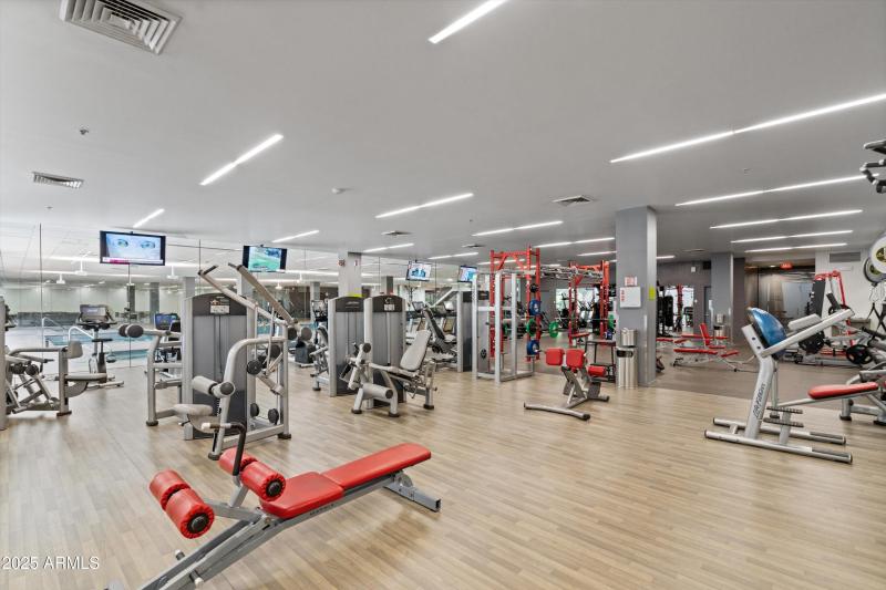 50-Gym