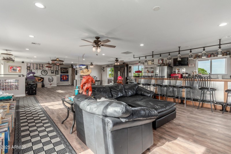 Man cave with murphy bed