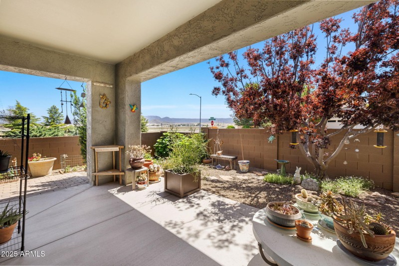 28-Back Patio (1)