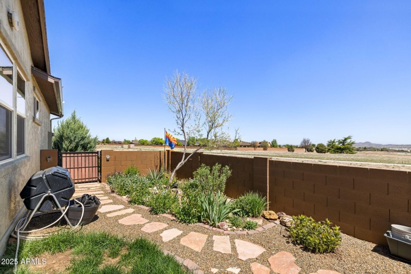 30-Back Yard (1)