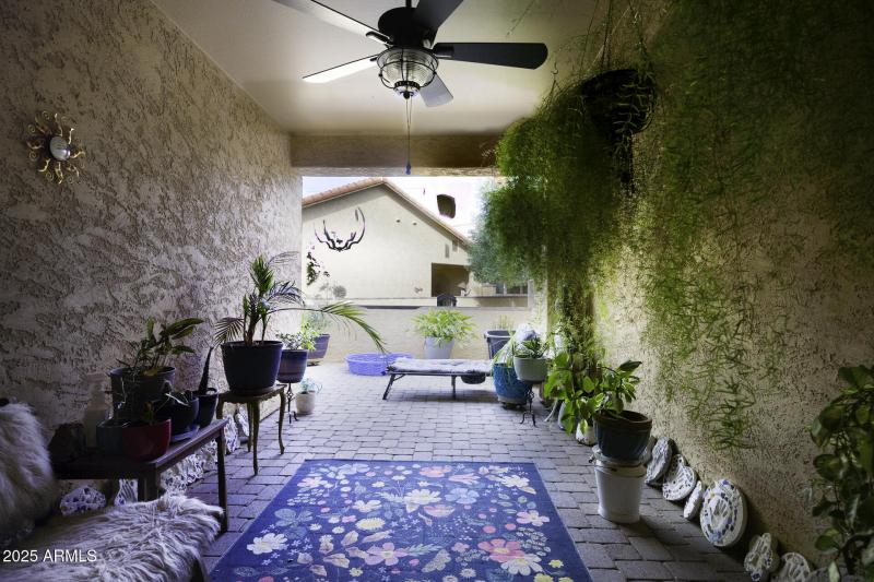 Back Patio View